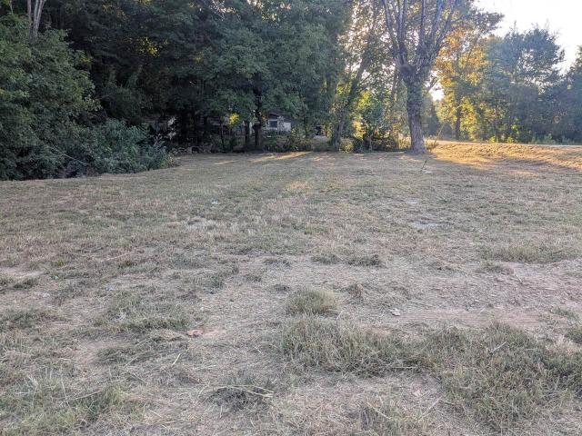 Land for sale in Caneyville, Kentucky
