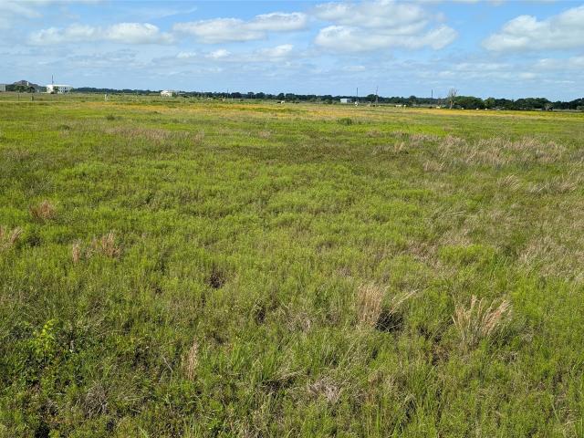Land for sale in Wharton, Texas