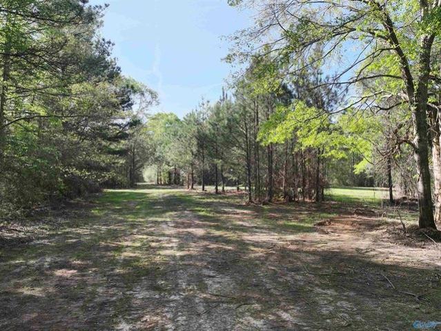Land for sale in Tuskegee, Alabama