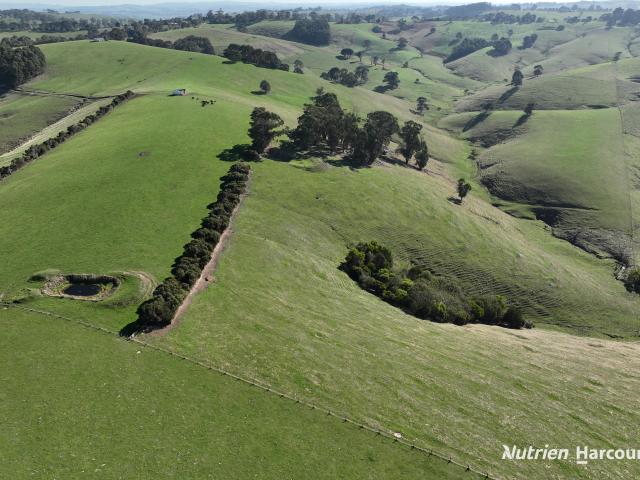 Property for sale in Mardan, Victoria