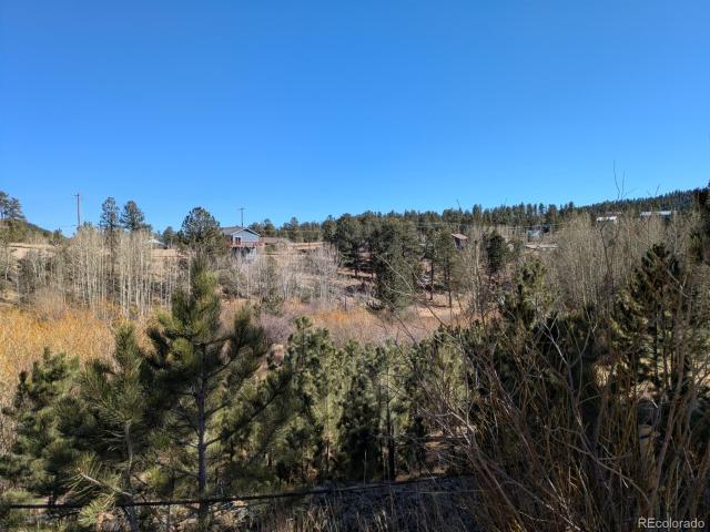 Land for sale in Bailey, Colorado