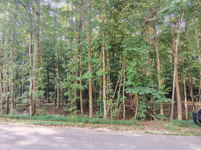 Land for sale in Franklin Springs, Georgia