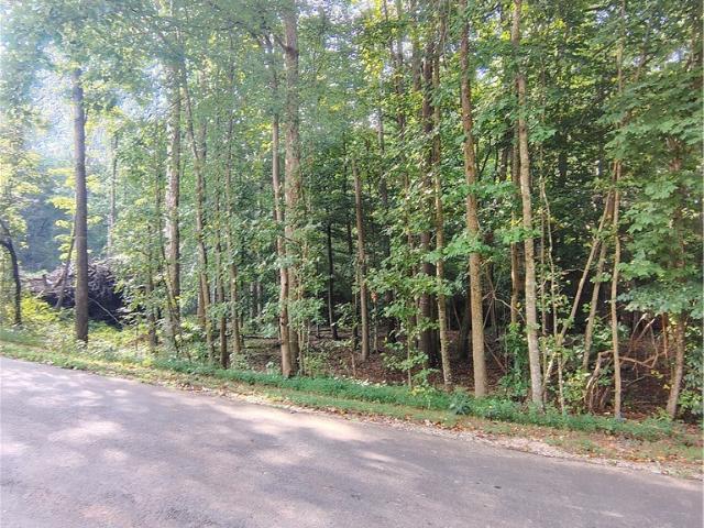 Land for sale in Franklin Springs, Georgia