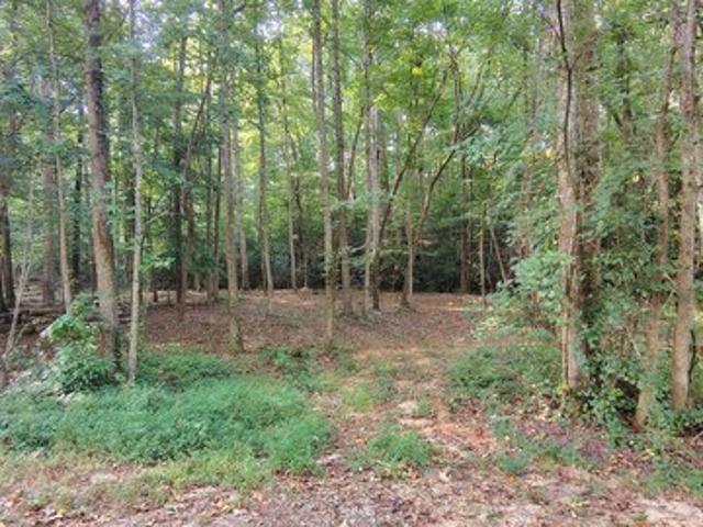 Land for sale in Royston, Georgia