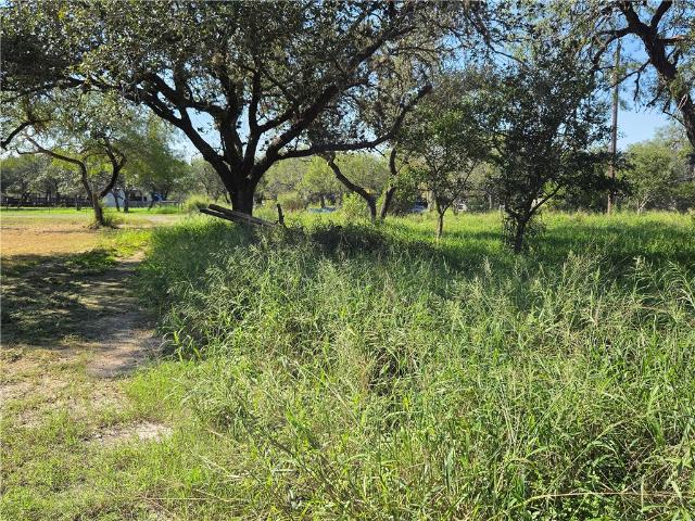 Land for sale in Sinton, Bee County