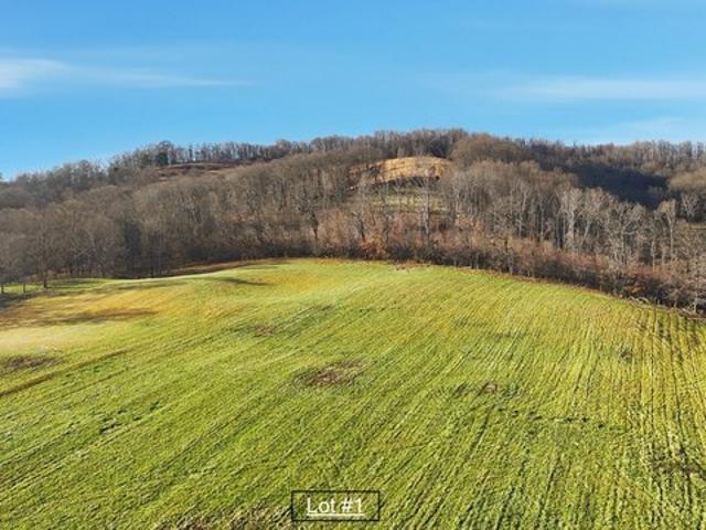 Land for sale in Tennessee