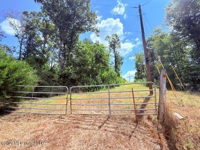 Land for sale in Tylertown, Mississippi