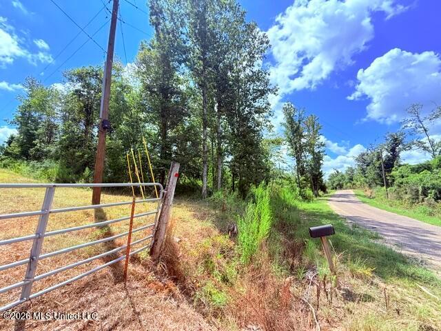 Land for sale in Tylertown, Mississippi