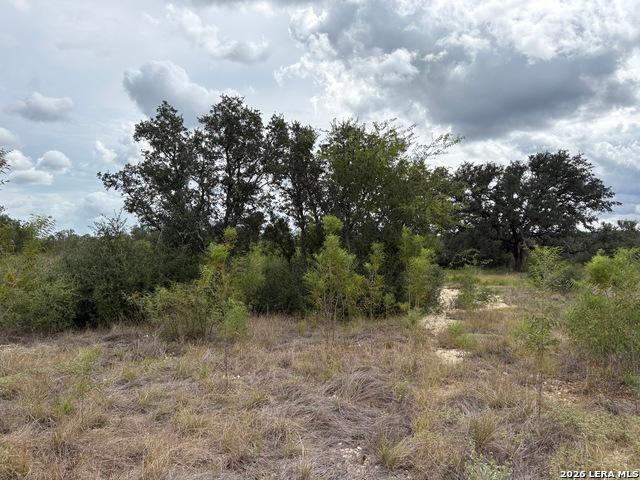 Land for sale in Hondo, Medina County