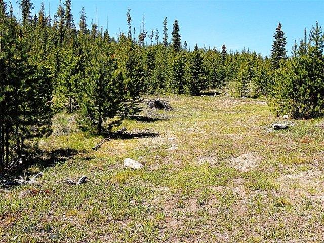 Land for sale in Anaconda, Montana