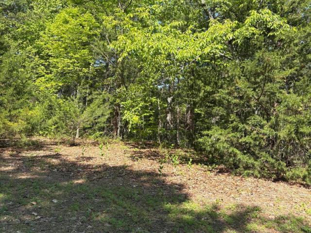 Land for sale in Tennessee