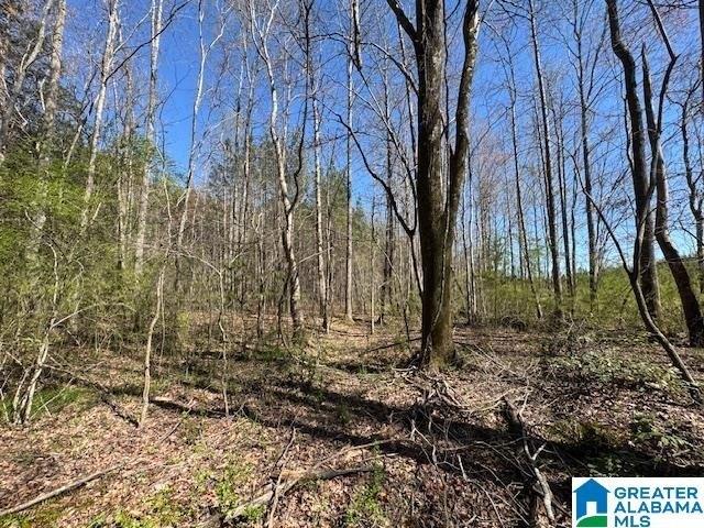 Land for sale in Wadley, Alabama