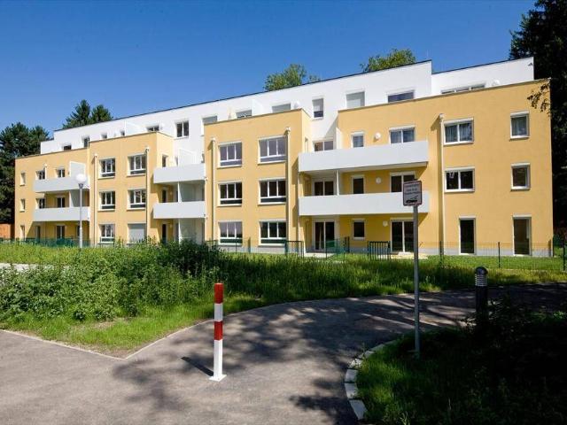 Apartment mieten in Neunkirchen, Niederösterreich