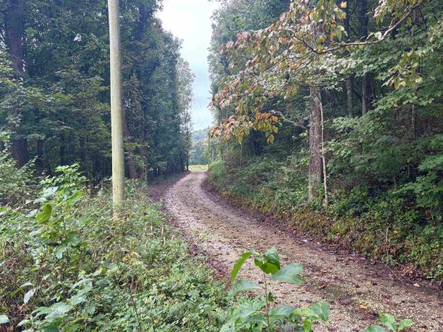 Land for sale in French Lick, Orange County