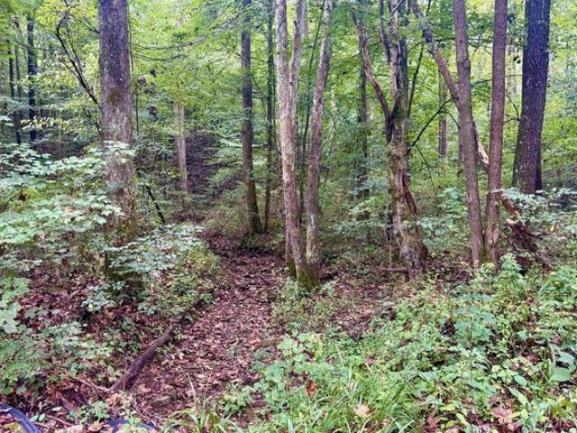 Land for sale in French Lick, Orange County