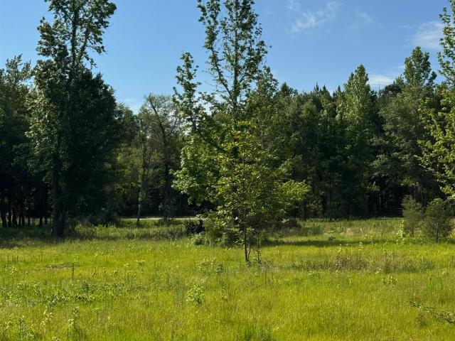 House for sale in Frisco City, Alabama