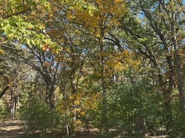 Land for sale in Long Grove, Illinois