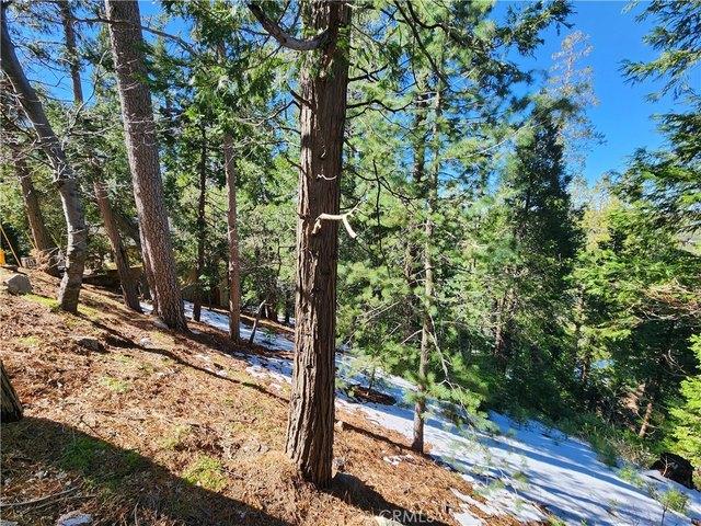 Land for sale in Twin Peaks, California