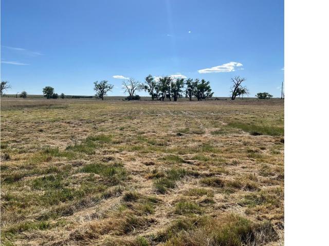 Land for sale in Orchard, Colorado