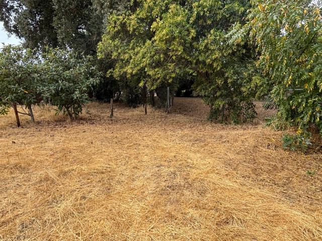 Land for sale in Sutter, California