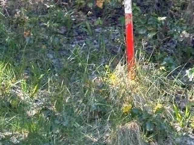 Land for sale in British Columbia