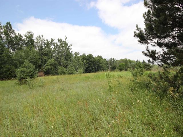 Commercial for sale in Michigan