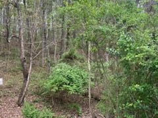 Land for sale in Tennessee