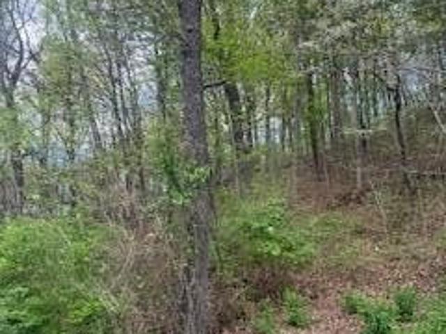 Land for sale in Tennessee