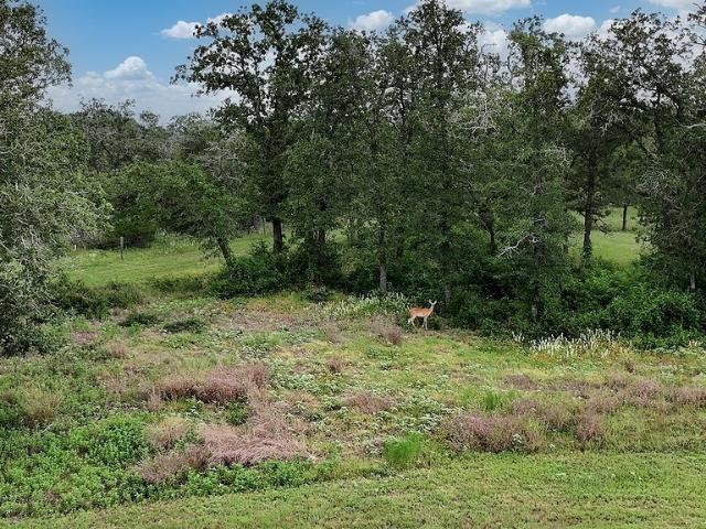Land for sale in Flatonia, Texas
