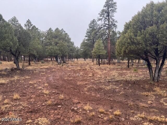 Land for sale in Arizona