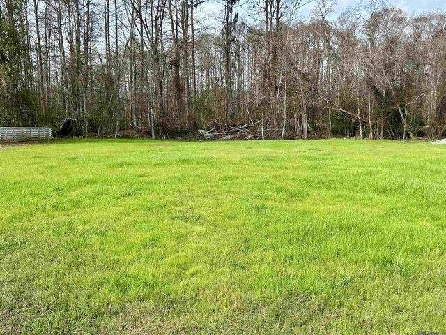 Land for sale in Oregonia