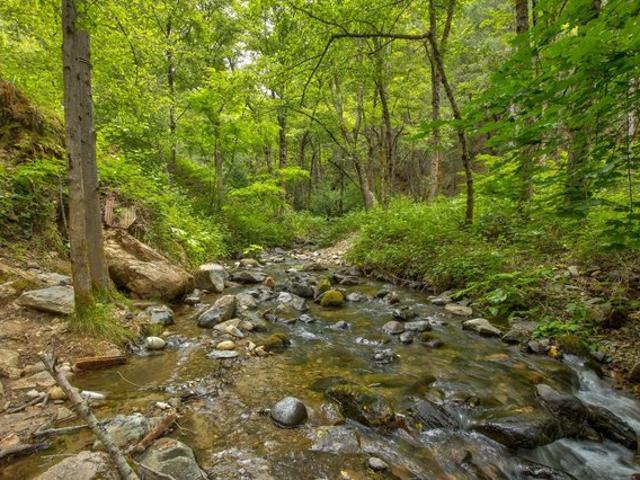 House for sale in Foresthill, California