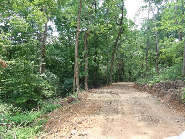 Land for sale in Tennessee