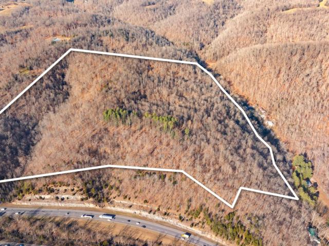 Land for sale in Whites Creek