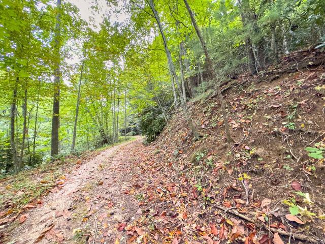 Land for sale in Virginia