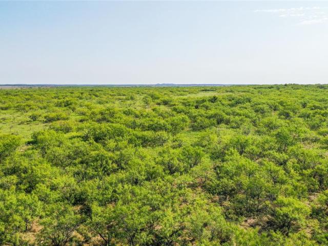 Land for sale in Texas