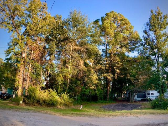 Land for sale in Ben Wheeler, Texas
