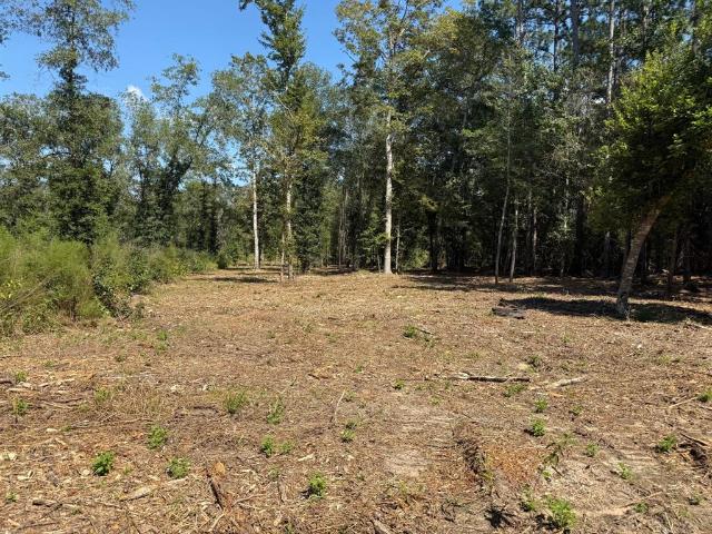 Property for sale in Polk, Texas