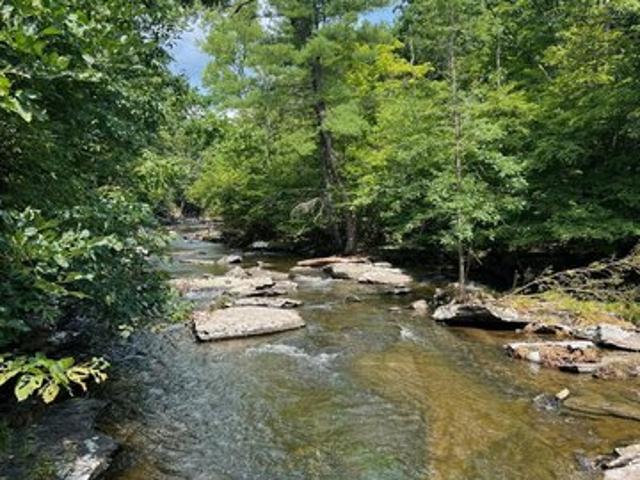 Land for sale in Acra, New York