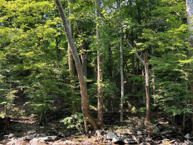 Land for sale in Acra, New York