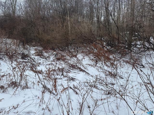 Land for sale in Morris, Connecticut