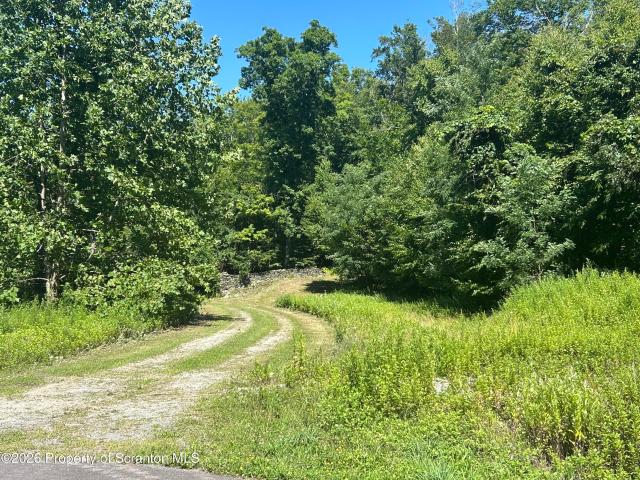 Land for sale in Overfield Township, Wyoming County