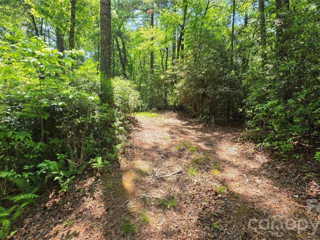 Land for sale in Transylvania, North Carolina