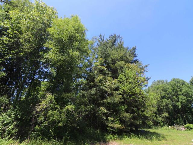 Land for sale in Samaria, Michigan