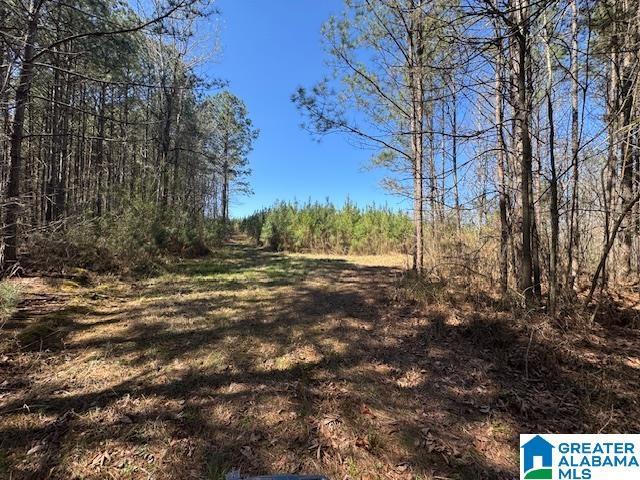 Land for sale in Wadley, Alabama
