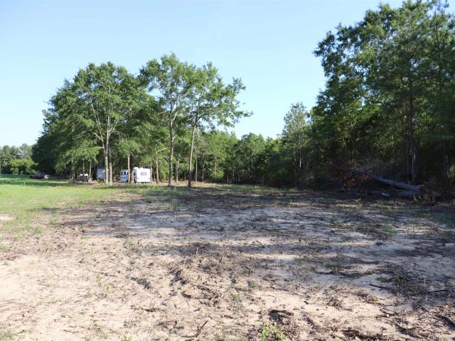 Land for sale in Bethune, South Carolina