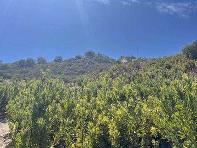 Land for sale in Valley Center, California