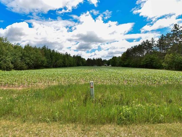 Land for sale in Stevens Point, Wisconsin