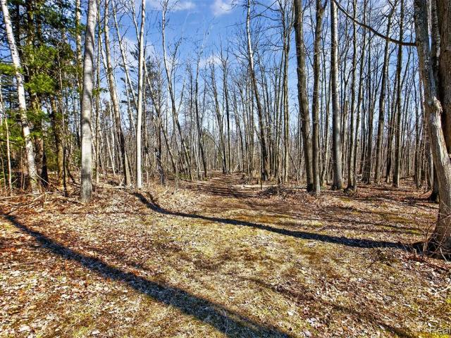 House for sale in Greenbush, Michigan