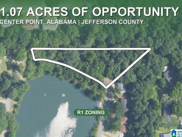 Land for sale in Center Point, Alabama